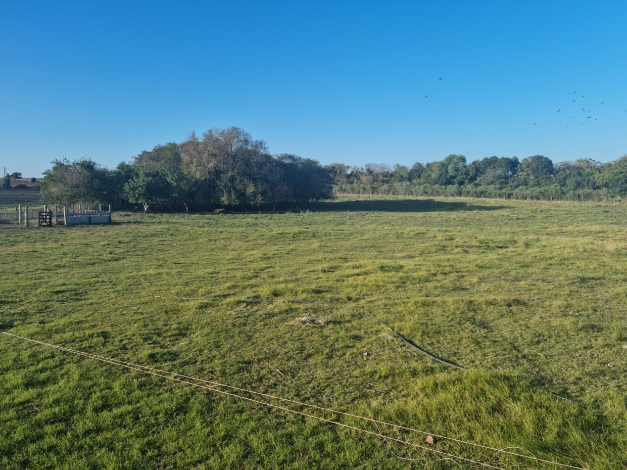SE VENDE CASA QUINTA EN ALVEAR