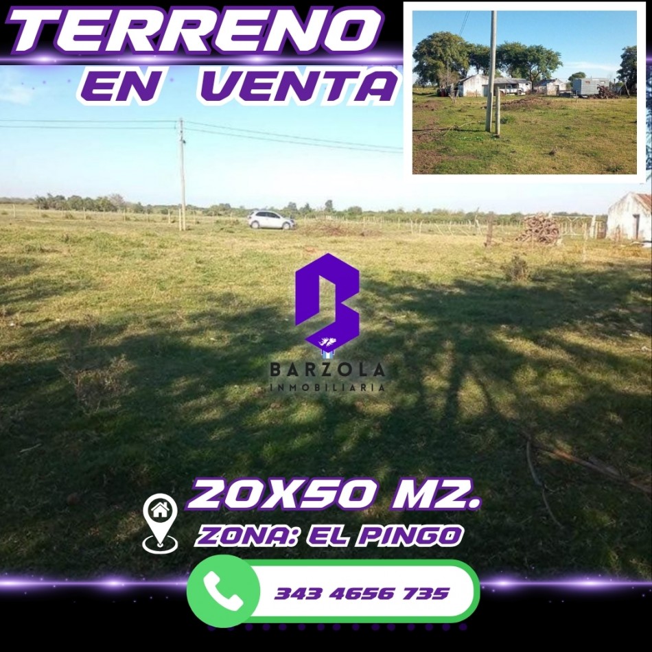 TERRENOS EN VENTA- EL PINGO.