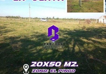 TERRENOS EN VENTA- EL PINGO.