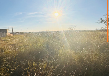 TERRENOS EN VENTA - SAN BENITO